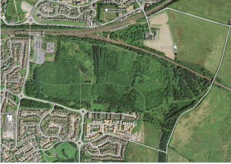 Aerial map showing the location of Hallside Heritage Park